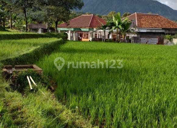 Tanah sawah untuk villa+rumah view lepas gunung sangat strategis