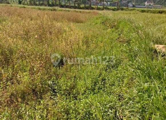 Tanah rata rumah+gazebo nempel kali sungai view lepas ke gunung