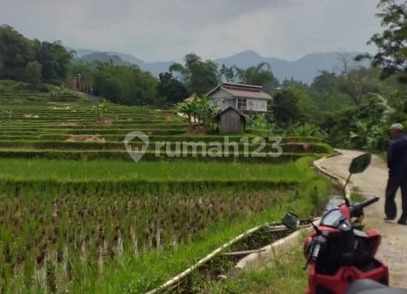 Tanah sawah rata untuk villa+gazebo view lepas ke gunung