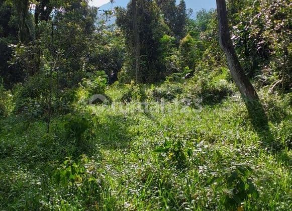 Tanah untuk berkebun+investasi+villa sangat strategis view lepas