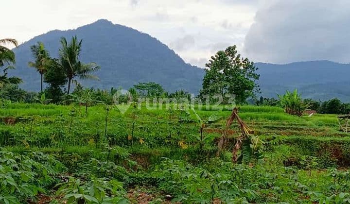 Tanah rata+villa+rumah full view sangat strategis