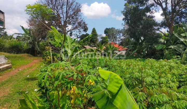 Tanah kebun untuk investasi+villa sangat strategis view lepas