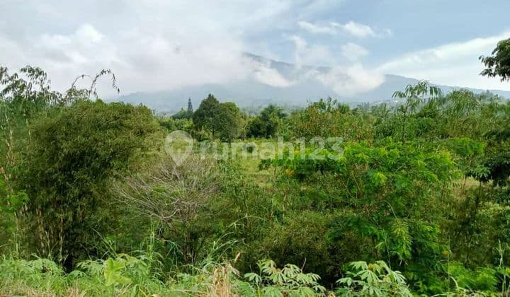 Tanah murah untuk kebun+villa+investasi view gunung+kota
