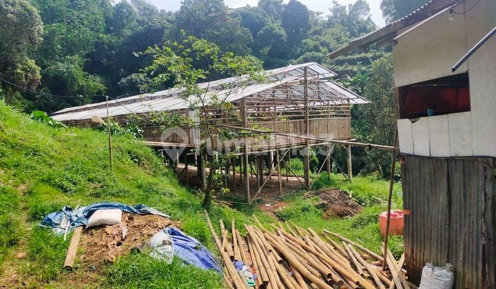 Tanah kandang ayam+bebek siap pakai sangat strategis view lepas