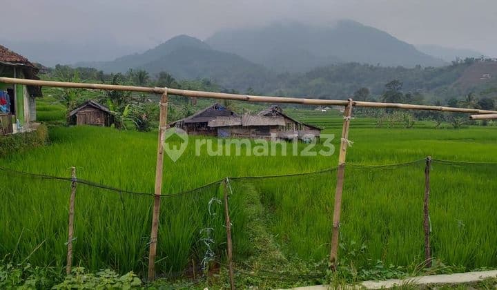 Tanah sawah murah sangat strategis view lepas ke gunung