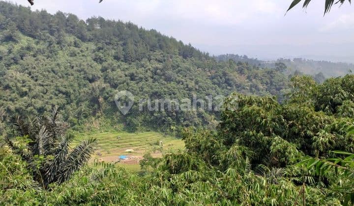 Tanah murah untuk investasi+kebun+wisata+villa strategis fulview