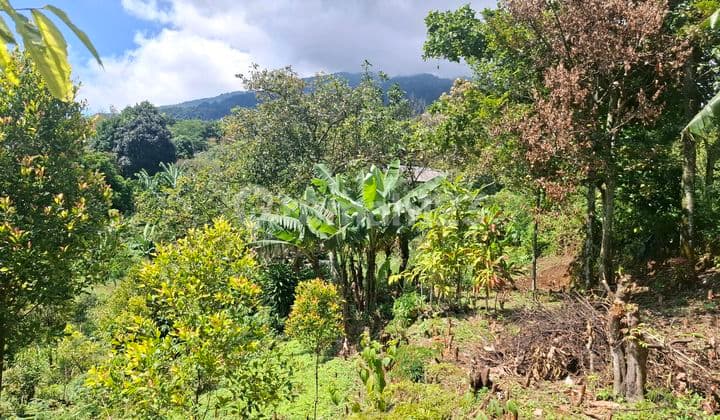 Tanah Untuk Villa/rumah Kebun Sangat Strategis View Lepas