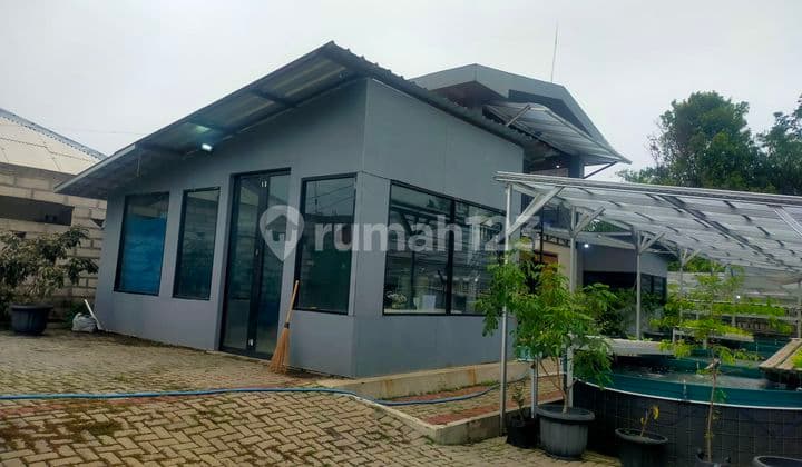 Rumah Hidroponik Dekat Kediaman Ri 1 Lokasi Strategis View Lepas
