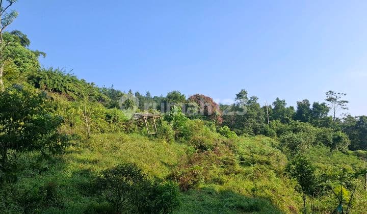 Land for Garden Investment, Very Strategic View of Mountains + City