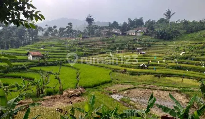 Tanah Sawah Bagus View Lepas Subur Sangat Strategis