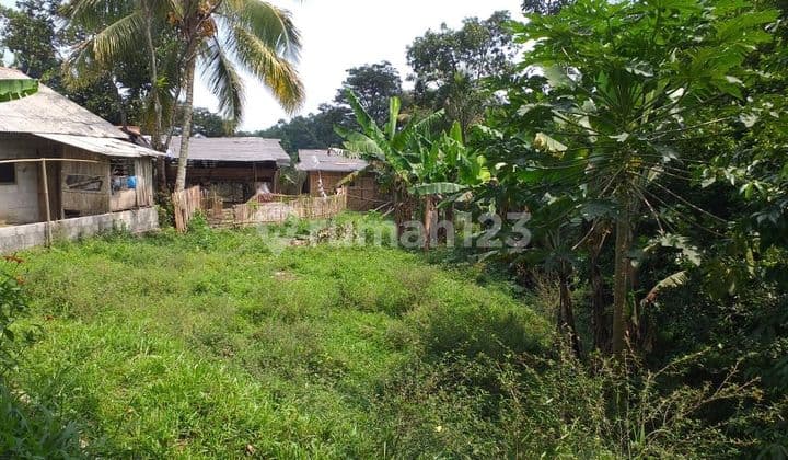 Tanah Untuk Investasi+Kebun Sangat Strategis Nempel Jalan