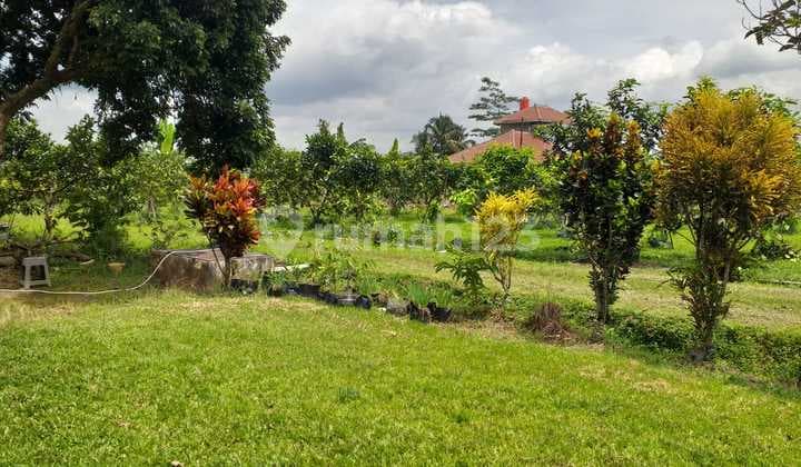 Tanah Sudah Jadi Kebun Siap Huni Pagar Keliling Nempel Jl Raya