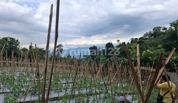 Good Land Ready to Build for House and Villa, Very Strategic