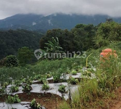Tanah Untuk Pertanian Atau Villa+Wisata+Glamping View Lepas