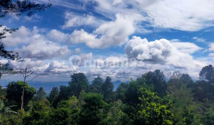 Tanah Bagus Tertata Rapih Sudah Ada Kebun Bongsai View Lepas