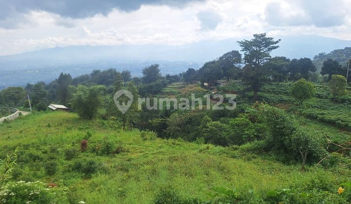 Good View Land Release Mountain+city For Villa+residential House
