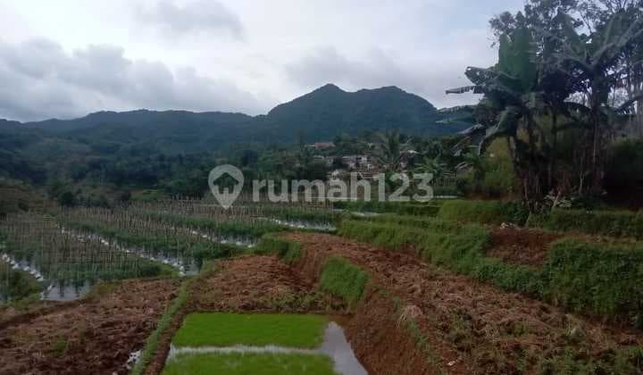 Tanah Sawah Strategis View Lepas Air Bagus Untuk+vill+rumah
