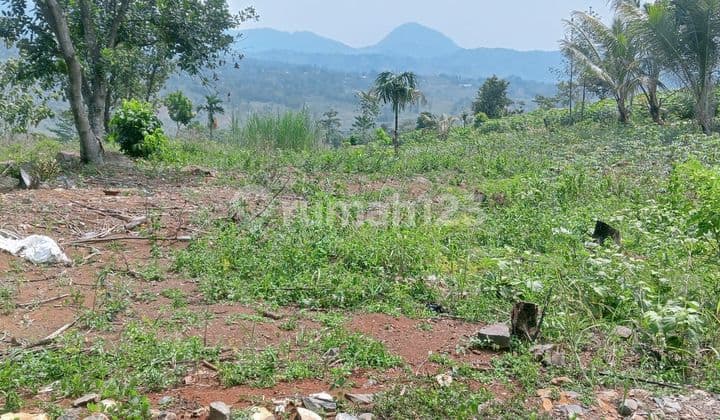 Tanah Rata Untuk Investasi Kebun View Lepas Ke Gunung