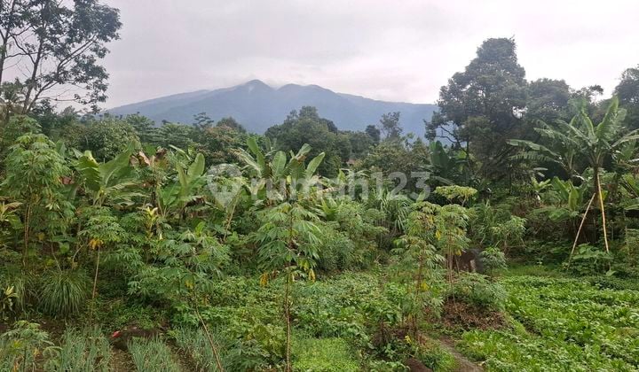 Tanah Nempel Kali Sungai View Lepas ke Gunung