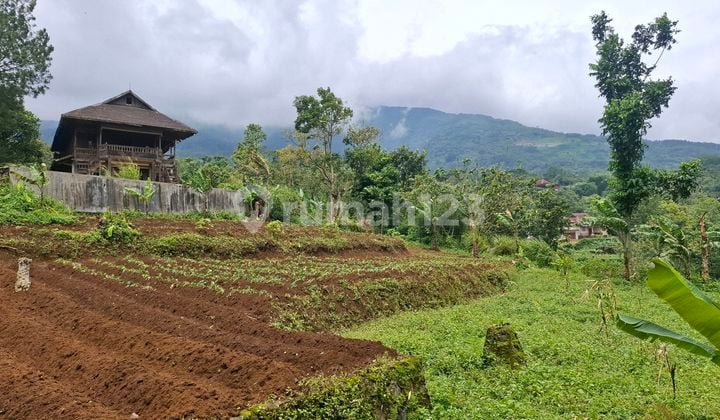 Tanah Bagus View Lepas Gunung Air Bagus Sangat Stategis Banget