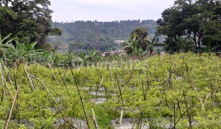 Tanah Rata Untuk Investasi+Berkebun Sangat Strategis View Lepas