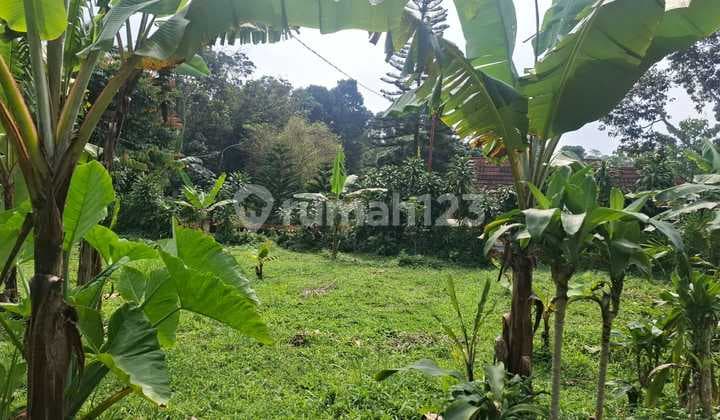 Tanah Untuk Rumah+villa Kebun Sangat Strategis