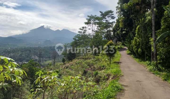 Tanah Untuk Villa+rumah Investasi Sangat Strategis View Lepas