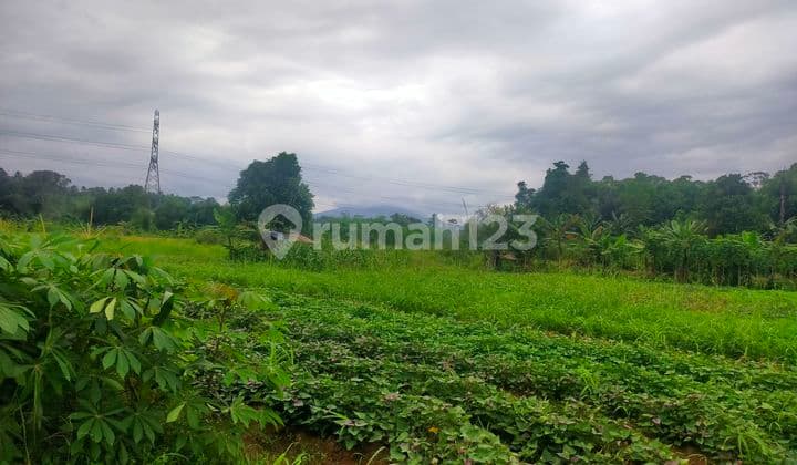 Tanah Kebun Untuk Investasi Masa Pensiun Strategis View Gunung