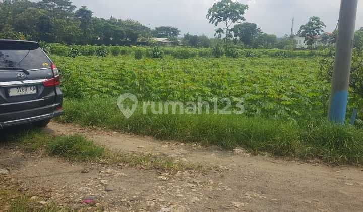 Tanah Rata Sangat Strategis untuk Investasi+Kebun