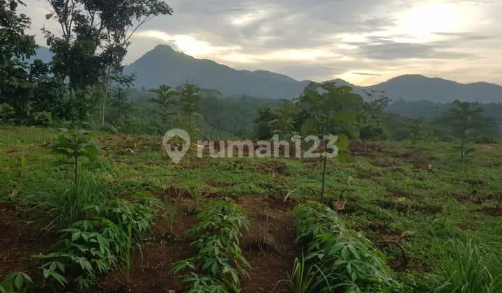 Tanah Rata View Lepas Nempel Jl Rysangat Strategis