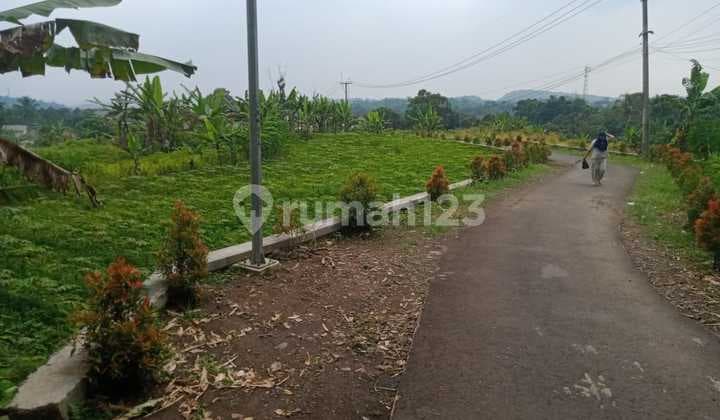 Tanah Untuk Kebun+investasi Sangat Strategis View Gunung