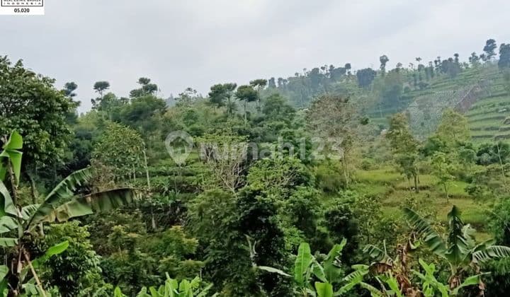 Jual Nego Paling Murah 2023 Kavling Luas Strategis Di Tanimulya Bandung