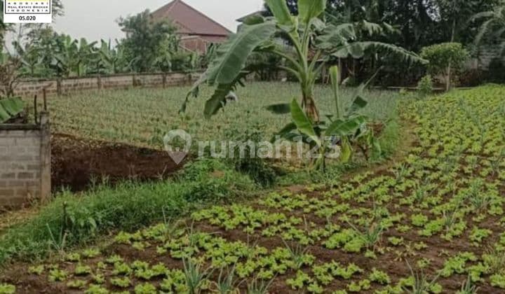 Jual Nego Lebaiii, Kavling Tanah Luas Mainroad Harga Murah Di Setiabudi Regency Bandung