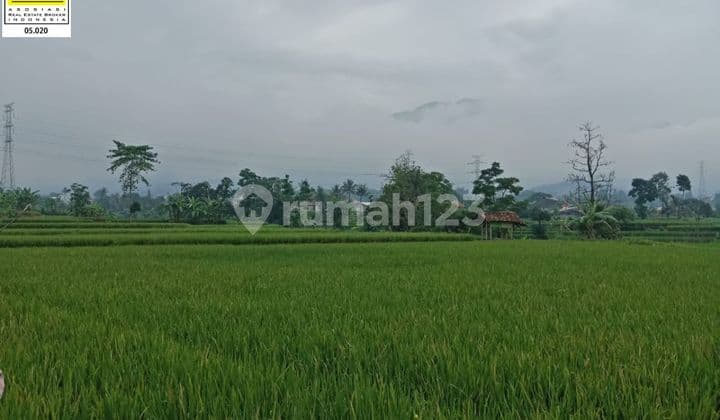 Kavling Tanah Luas Murah Di Ciparay Bandung