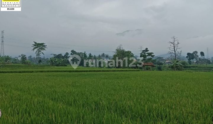 Kavling Tanah Luas Murah Di Ciparay Bandung
