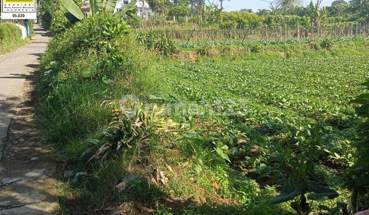 Jual Nego Sampa Ok Ka Kavling Tanah Strtaegis Di Cipanas Cianjur