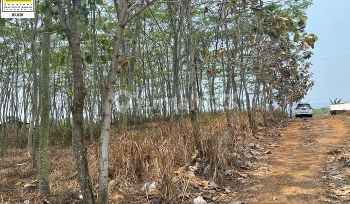 Murah Parah, Tanah View Laut Terindah Di Jayanti Cianjur