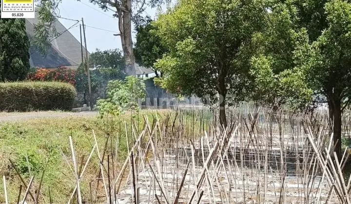 Jual Nego Sekarang Kavling Luas Di Barulaksana Lembang Bandung