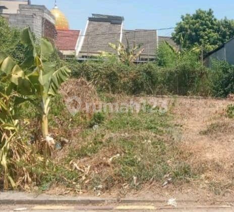 Sebidang Tanah Sudah Diurug Siap Bangun di jl Medokan ayu Rungkut Surabaya , Surabaya Kota SHM - Sertifikat Hak Milik 172.2 m²