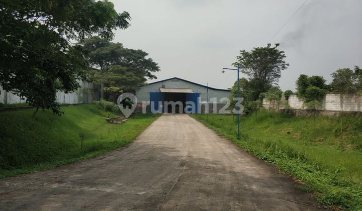 Gudang Kontrakan Serang Rangkas Bagus