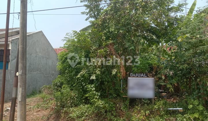 Tanah Dua Kavling Pejaten Mas Estate Nego