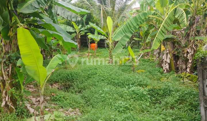 Pejaten Mas Estate Spacious Land Plot Negotiable Until Deal