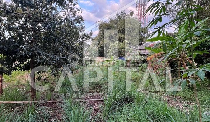 Cuma Ini Tanah Kavling 3 Jutaan Awiligar Mainroad Termurah Se Cikutra