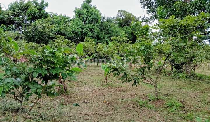 Affordable Plots in Parungpanjang