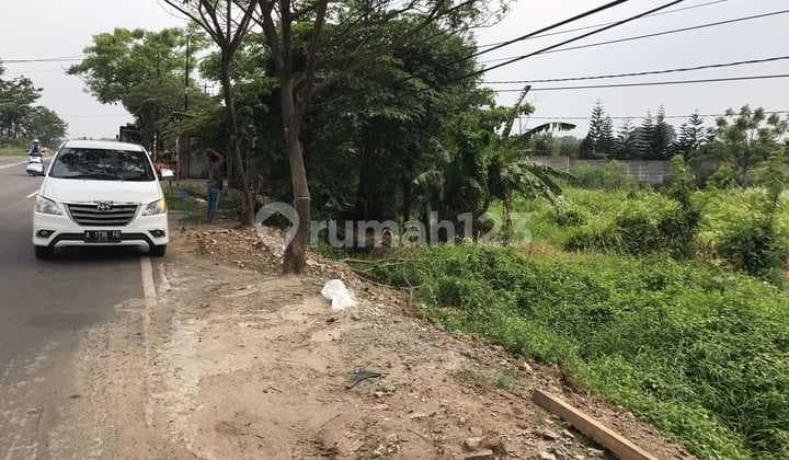 For Sale 12,000 M2 Land on Jalan Raya Serang