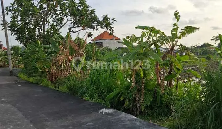 Tanah di Jl Sedap Malam Lingkungan Villa