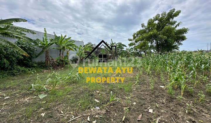 LAND 20 ARE SUITABLE FOR BUSINESS LOCATION ON MAIN ROAD SEDAP MALAM