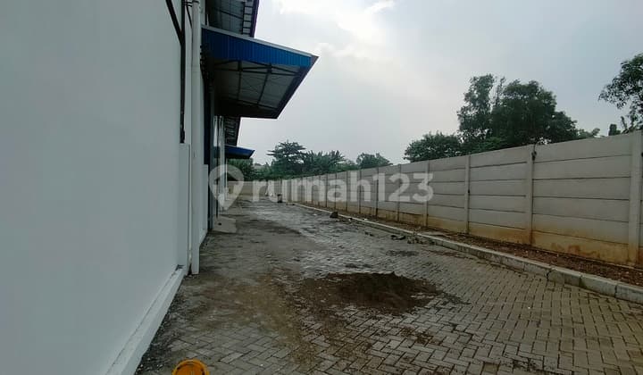 Disewa Baguna Gudang Baru Ada 4 Loading Dock Lokasi Cikarang