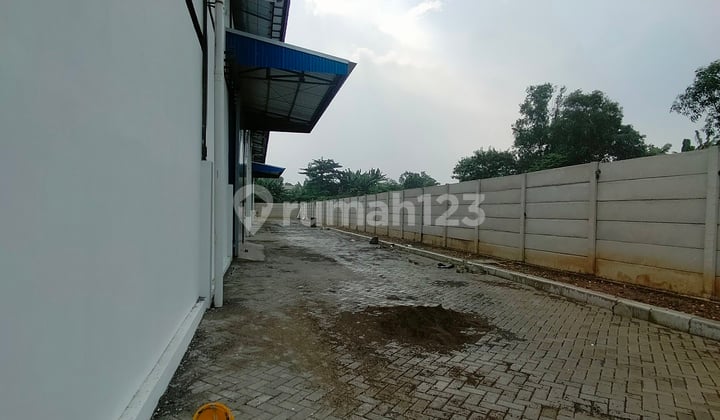 Disewa Baguna Gudang Baru Ada 4 Loading Dock Lokasi Cikarang