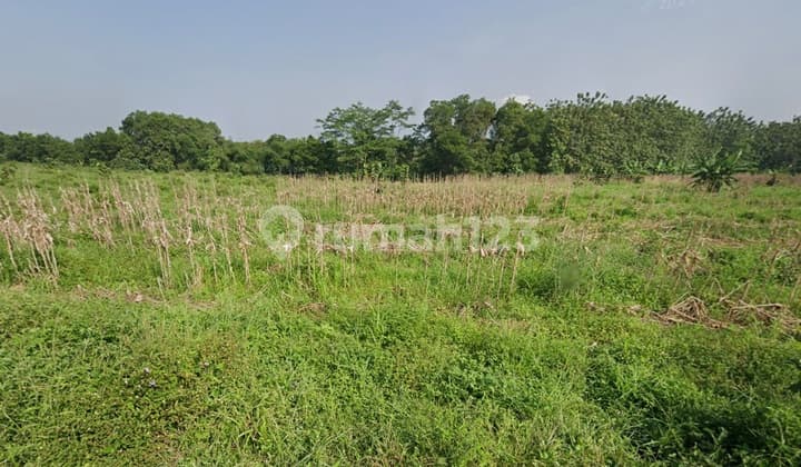 Dijual Lahan Kavling Industri Dalam Kawasan Purwakarta